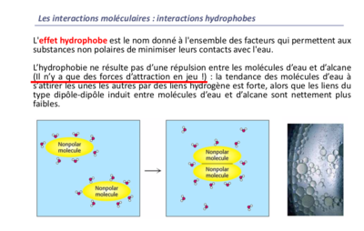 Capture d’écran 2019-11-20 à 10.51.44.png