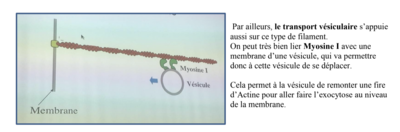 Capture d’écran 2019-11-20 à 11.49.41.png