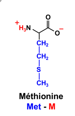 Capture d’écran 2019-11-20 à 14.10.49.png