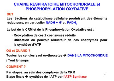 Capture d’écran 2019-11-20 à 14.21.34.png