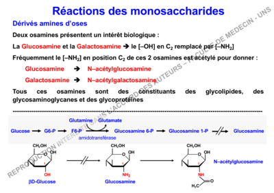 Capture d’écran 2019-11-20 à 14.33.40.png