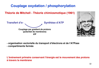 Capture d’écran 2019-11-20 à 14.45.44.png