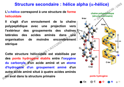 Capture d’écran 2019-11-20 à 15.04.56.png