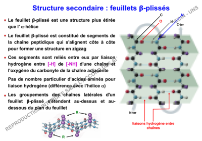 Capture d’écran 2019-11-20 à 15.05.10.png