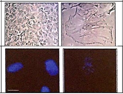 Capture d’écran 2019-11-21 à 10.00.56.png