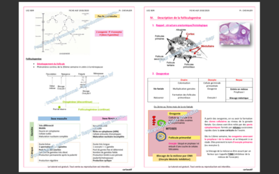 Capture d’écran 2019-11-21 à 15.19.19.png