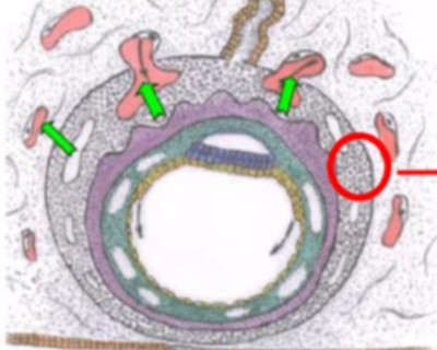 Capture d’écran 2019-11-22 à 16.58.21.png