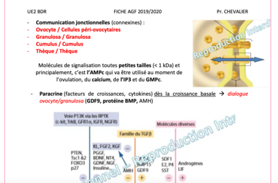 Capture d’écran 2019-11-23 à 15.34.51.png