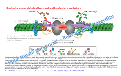 Capture d’écran 2019-11-23 à 15.33.15.png