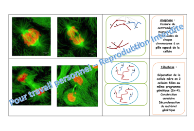 Capture d’écran 2019-11-23 à 15.33.37.png