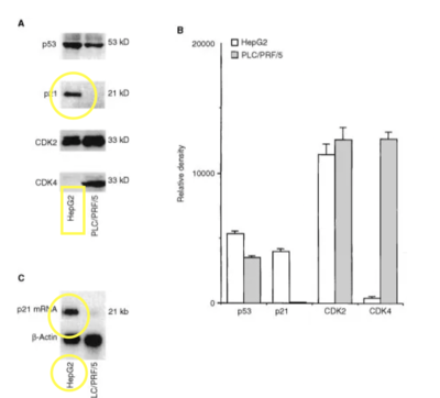 Capture d’écran 2019-11-24 à 00.33.05.png