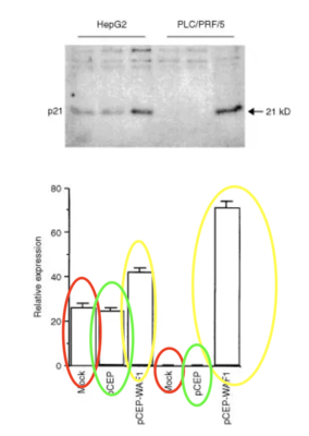 Capture d’écran 2019-11-24 à 00.45.15.png