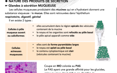 Capture d’écran 2019-11-24 à 10.42.27.png