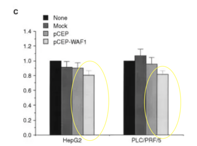 Capture d’écran 2019-11-24 à 11.45.50.png