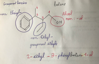 Capture d’écran 2019-11-24 à 12.12.01.png