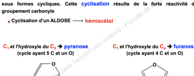 Capture d’écran 2019-11-24 à 19.58.43.png