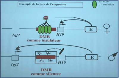 Capture d’écran 2019-11-25 à 11.52.33.png