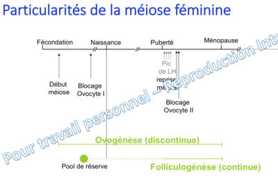 Capture d’écran 2019-11-25 à 18.02.33.png
