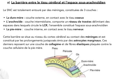 Capture d’écran 2019-11-26 à 12.16.13.png
