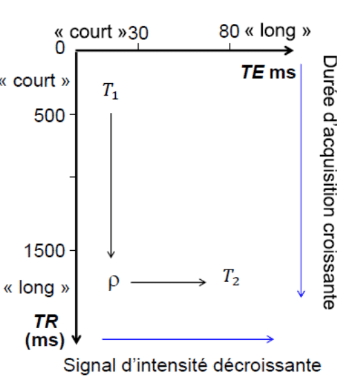 Screenshot_2019-11-24 3-Biophysique-9 pdf.png