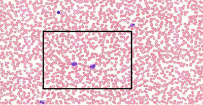 Capture d’écran 2019-11-27 à 14.31.48.png