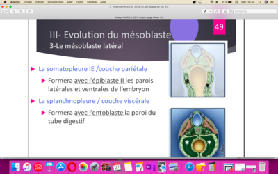 Capture d’écran 2019-11-27 à 16.34.05.png
