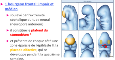 Capture d’écran 2019-11-27 à 22.40.49.png