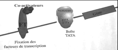Capture d’écran 2019-11-28 à 14.07.58.png
