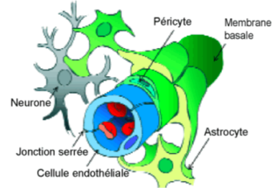 Capture d’écran 2019-12-01 à 17.02.46.png