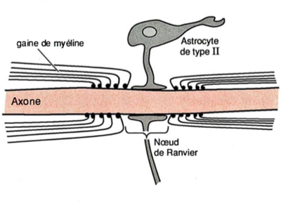 Capture d’écran 2019-12-01 à 17.07.39.png