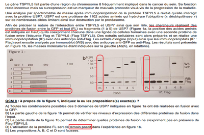 Exp Biocell 2017.png