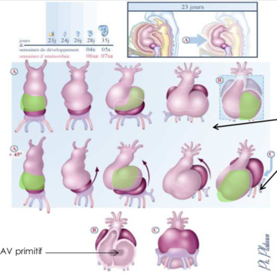 Capture d’écran 2019-12-03 à 10.50.39.png