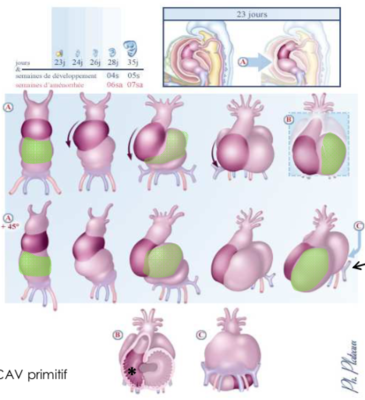 Capture d’écran 2019-12-03 à 10.50.55.png