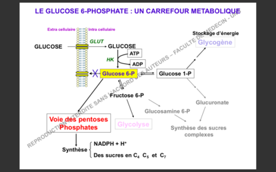 Capture d’écran 2019-12-03 à 10.24.35.png