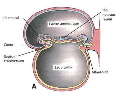 Capture d’écran 2011-10-09 à 16.52.38.png