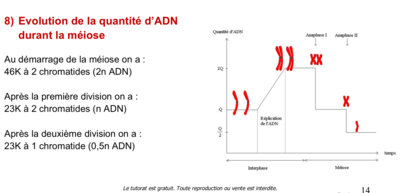 Capture d’écran 2019-12-04 à 23.35.30.png