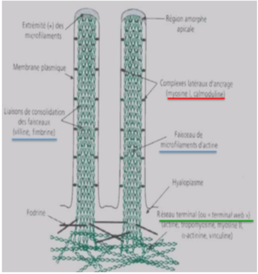 Capture d’écran 2019-12-05 à 14.57.20.png
