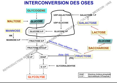 Capture d’écran 2019-12-05 à 15.58.29.png