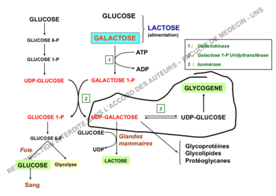 Capture d’écran 2019-12-05 à 16.02.53.png