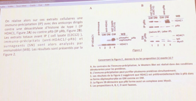 Capture d’écran 2019-12-05 à 22.08.34.png