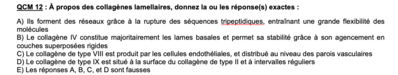 Capture d’écran 2019-12-06 à 13.24.05.png