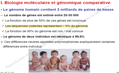 Diapo 3 Biomol p62.png