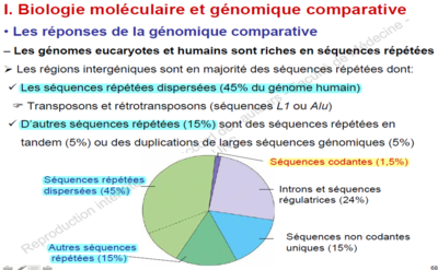 Diapo 3 Biomol p68.png