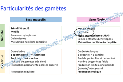 Capture d’écran 2019-12-06 à 16.29.28.png