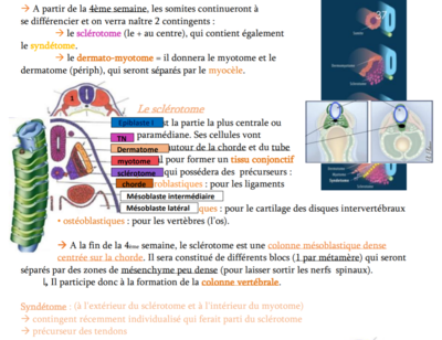 Screenshot 2019-12-07 at 10.04.14.png