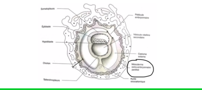 Capture d’écran 2019-12-07 à 15.01.27.png