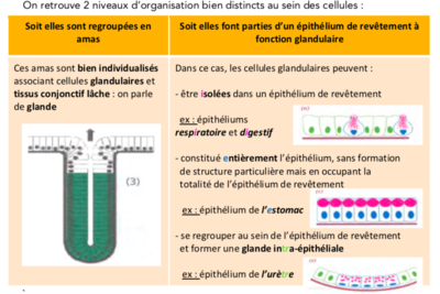 Capture d’écran 2019-12-08 à 10.33.45.png