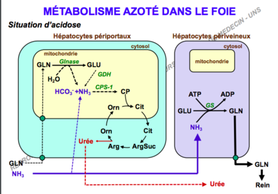 Capture d’écran 2019-12-08 à 11.36.03.png