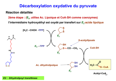 Capture d’écran 2019-12-08 à 19.07.21.png