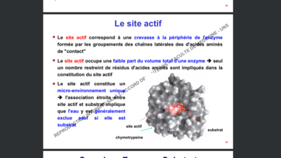 Capture d’écran 2019-12-09 à 15.13.36.png